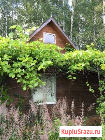 Дача 20 м² на участке 8 сот. на продажу в Протвино Протвино - изображение 1