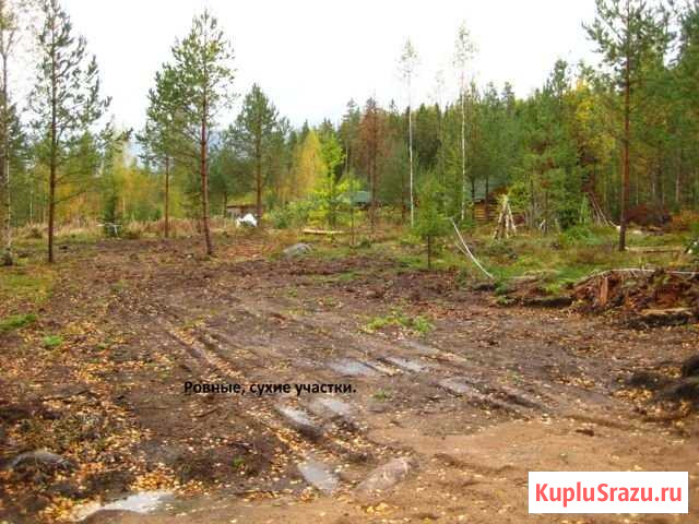 Участок СНТ, ДНП 9 сот. на продажу в Каменке Ленинградской области Каменка - изображение 1