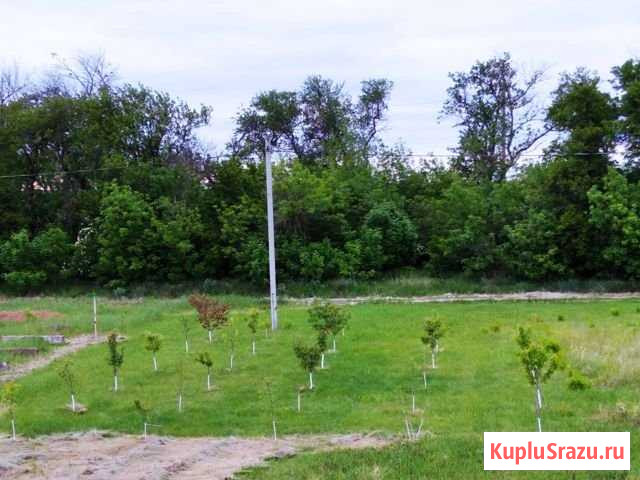 Участок ИЖС 10 сот. на продажу в Павловской Павловская - изображение 1