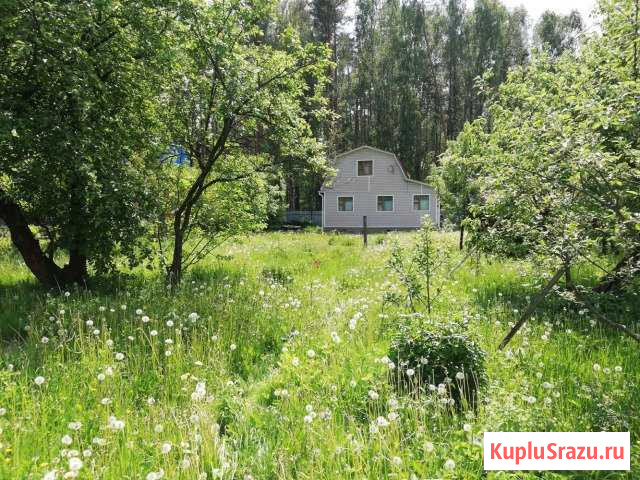 Дача 40 м² на участке 9 сот. на продажу в Электроугли Электроугли - изображение 1