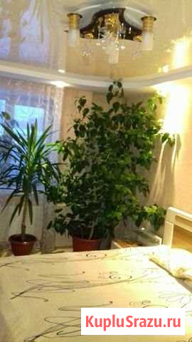 3-комнатная квартира, 77 м², 8/10 эт. на продажу в Барнауле Барнаул - изображение 1