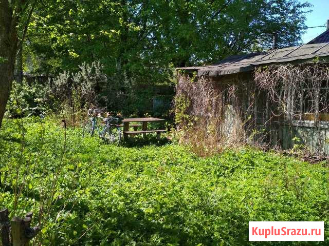Дача 42 м² на участке 4 сот. на продажу в Королеве Королев - изображение 1
