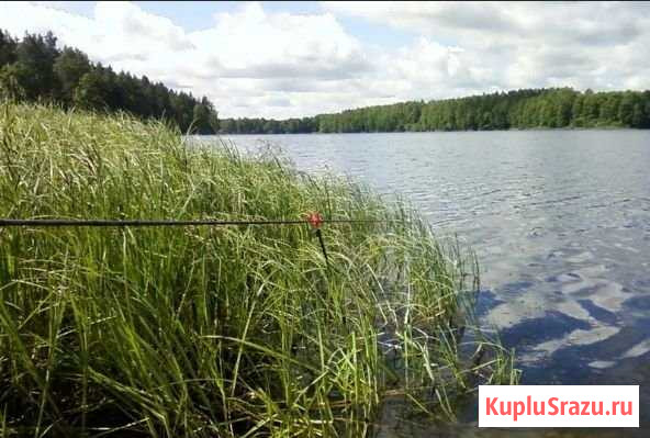 Участок ИЖС 25 сот. на продажу в Калуге Калуга - изображение 1