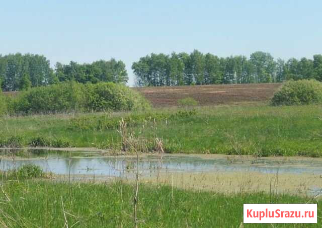 Участок СНТ, ДНП 1800 сот. на продажу в Кашире Кашира - изображение 1