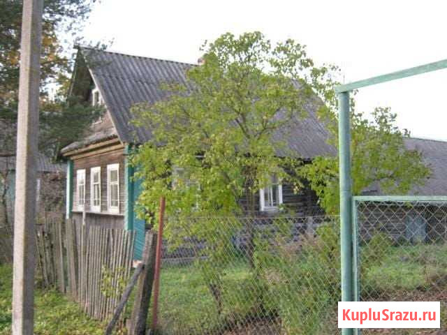 Дом 28.8 м² на участке 12 сот. на продажу на Лугах Луга - изображение 1