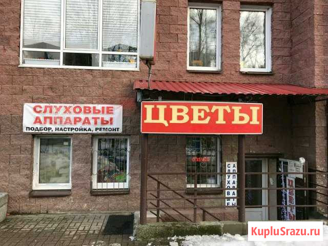 Помещение свободного назначения, 110.4 кв.м. Всеволожск - изображение 1