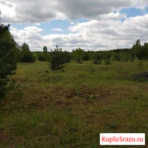 Участок СНТ, ДНП 75 сот. на продажу в Шатуре Шатура - изображение 1