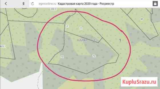 Участок СНТ, ДНП 3000 сот. на продажу в Красносельском Ленинградской области Красносельское