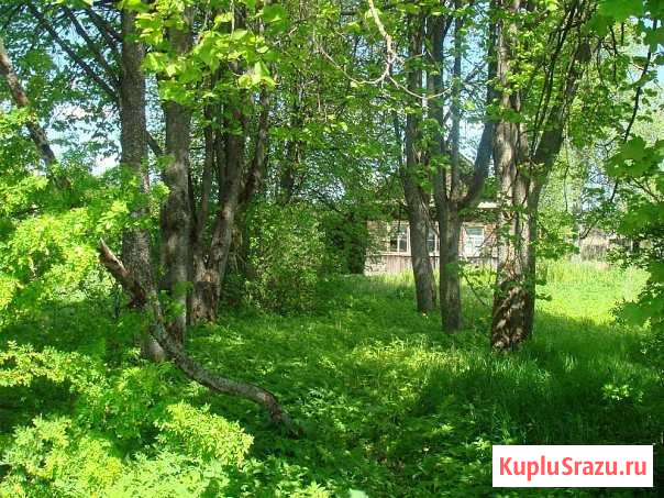 Участок ИЖС 22 сот. на продажу в Валдае Валдай - изображение 1