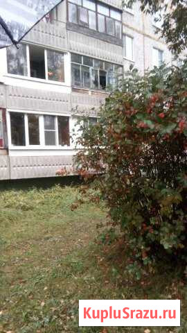 3-комнатная квартира, 66 м², 1/9 эт. на продажу в Радужном Владимирской области Радужный - изображение 1