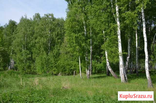 Участок ИЖС 12 сот. на продажу в Кургане Курган - изображение 1
