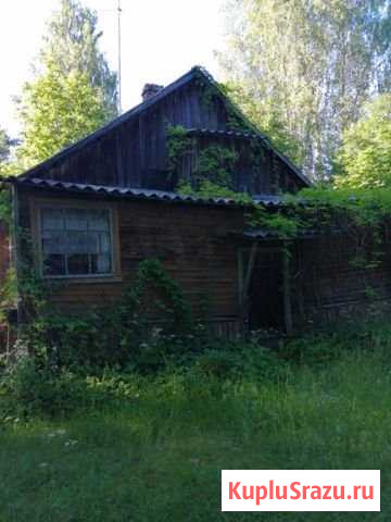 Дом 40 м² на участке 12 сот. на продажу в Тихвине Тихвин - изображение 1