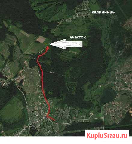 Участок СНТ, ДНП 10 сот. на продажу в Перми Пермь - изображение 1