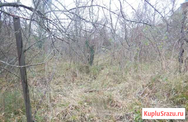 Участок СНТ, ДНП 6 сот. на продажу в Сочи Сочи - изображение 1