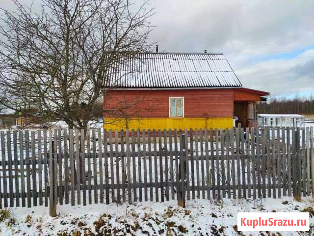 Дом 34.1 м² на участке 25 сот. на продажу в Нелидово Нелидово - изображение 1