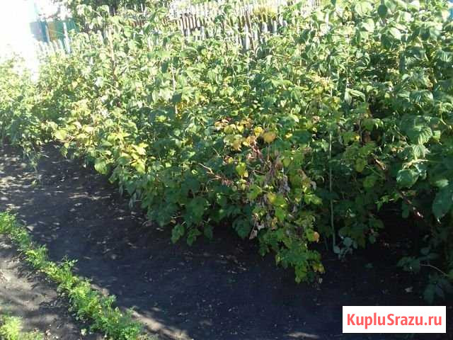 Участок СНТ, ДНП 4 сот. на продажу в Каменске-Уральском Каменск-Уральский - изображение 1