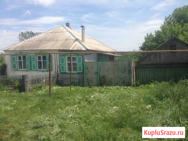 Дом 55.2 м² на участке 49 сот. на продажу в Нижнем Мамоне Нижний Мамон - изображение 1