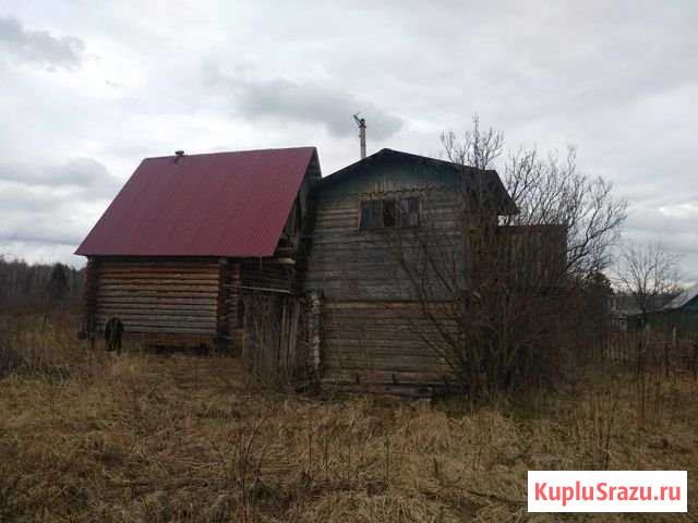 Дача 30 м² на участке 5 сот. на продажу в Бору Бор - изображение 1