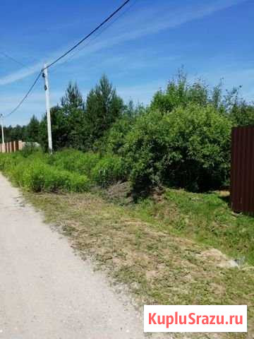 Участок ИЖС 17 сот. на продажу в Черноголовке Черноголовка - изображение 1
