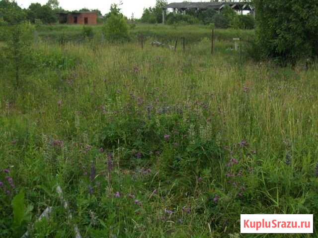 Дом 54 м² на участке 20 сот. на продажу в Новопетровском Новопетровское - изображение 1