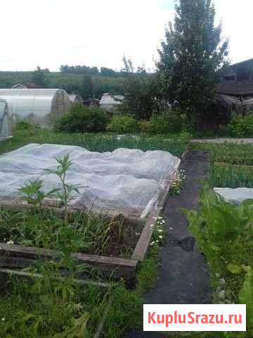 Дача 20 м² на участке 6 сот. на продажу в Березниках Березники - изображение 1