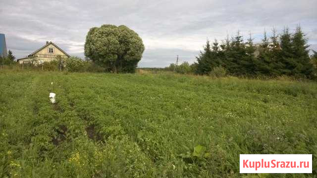 Участок ИЖС 15 сот. на продажу в Коммунарах Коммунары - изображение 1