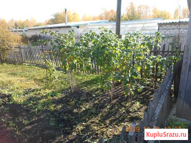 Участок СНТ, ДНП 5 сот. на продажу в Каменске-Уральском Каменск-Уральский - изображение 1