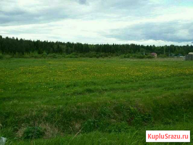 Участок ИЖС 30 сот. на продажу в Кирове Киров - изображение 1