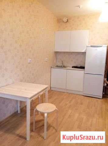 Квартира-студия, 25 м², 11/24 эт. в аренду на длительный срок в Мурино Мурино - изображение 1