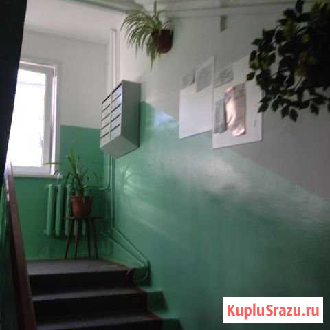 2-комнатная квартира, 46 м², 3/5 эт. на продажу в Барнауле Барнаул - изображение 1