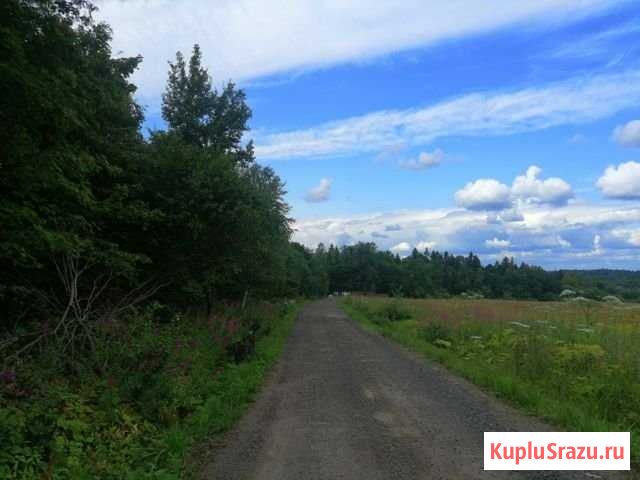 Участок ИЖС 25 сот. на продажу в Менделеево Московской области Менделеево - изображение 1