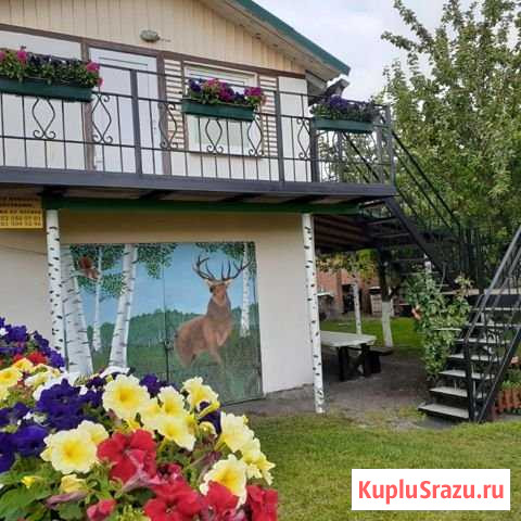 Дом 120 м² на участке 3 сот. в аренду посуточно в Зеленоградске Зеленоградск - изображение 1
