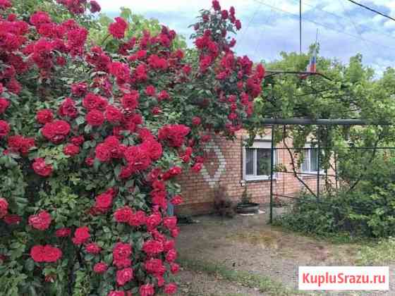 Дом 41.5 м² на участке 4 сот. на продажу в Ейске Ейск