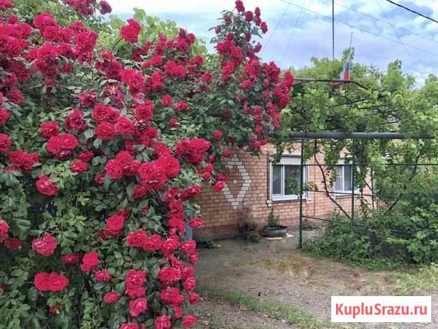 Дом 41.5 м² на участке 4 сот. на продажу в Ейске Ейск - изображение 1