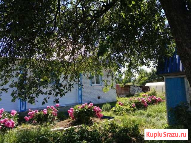 Дом 194 м² на участке 10 сот. на продажу в Городце Городец - изображение 1