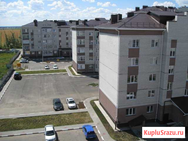 1-комнатная квартира, 33 м², 2/5 эт. на продажу в Воронеже Воронеж - изображение 1