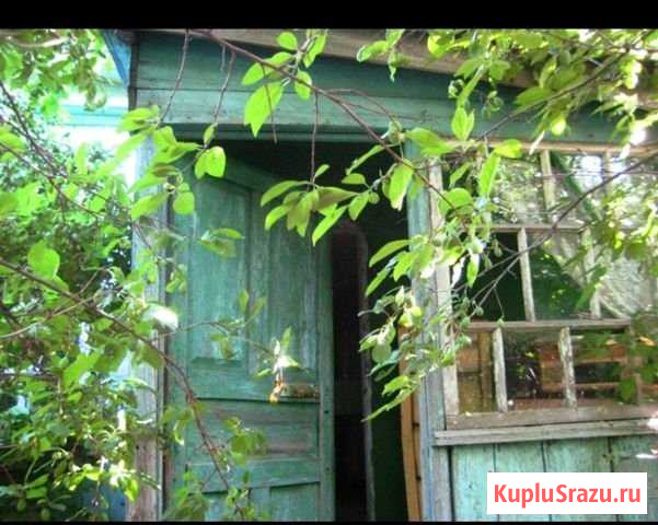 Дом 38 м² на участке 50 сот. на продажу в Терновке Терновка - изображение 1