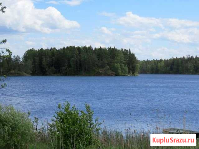 Участок ИЖС 22 сот. на продажу в Кузнечном Кузнечное - изображение 1