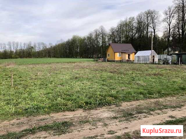 Участок ИЖС 14 сот. на продажу на Лугах Луга - изображение 1