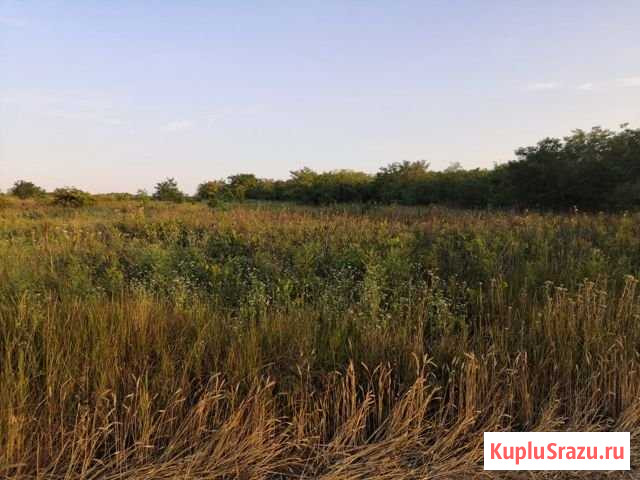 Участок СНТ, ДНП 8 сот. на продажу в Анапе Анапа - изображение 1