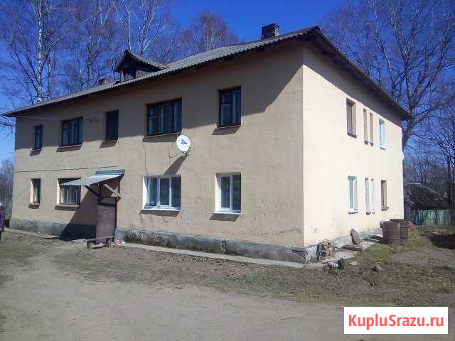 3-комнатная квартира, 46.9 м², 2/2 эт. на продажу в Пушкинских Горах Пушкинские Горы - изображение 1