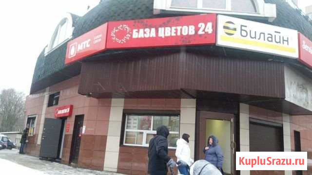 Помещение свободного назначения, 75.8 кв.м. Истра - изображение 1