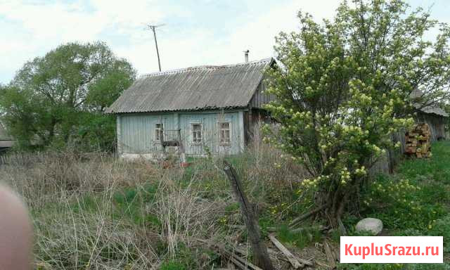Дом 40 м² на участке 50 сот. на продажу в Кочкурово Кочкурово - изображение 1
