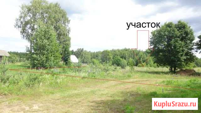 Участок ИЖС 10 сот. на продажу в Судах Суда - изображение 1