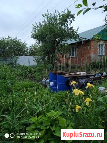 Дом 50 м² на участке 47 сот. на продажу в Веневе Венев - изображение 1