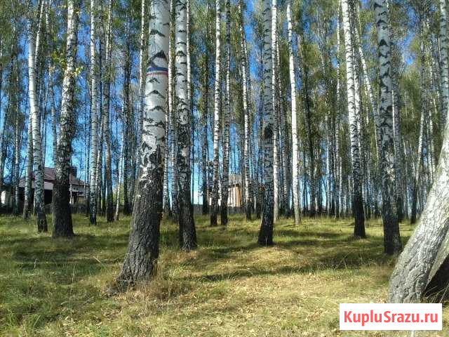 Участок ИЖС 10 сот. на продажу в Курске Курск - изображение 1