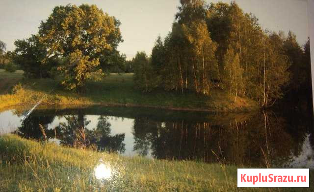 Участок СНТ, ДНП 1600 сот. на продажу в Арске Арск - изображение 1