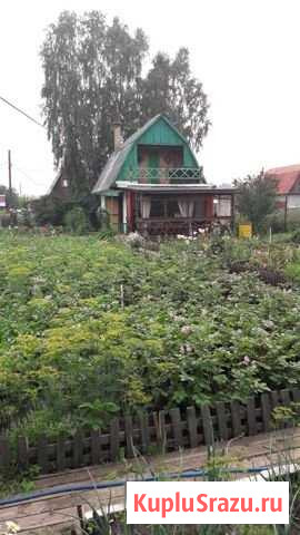 Дача 40 м² на участке 20 сот. на продажу в Кемерово Кемерово - изображение 1