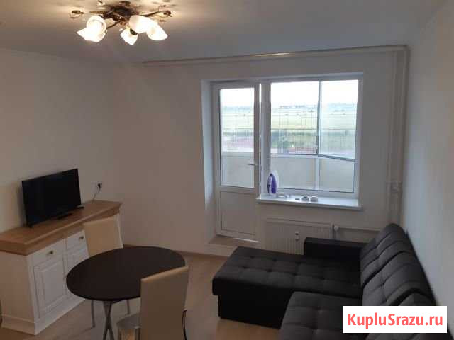 Квартира-студия, 24 м², 8/12 эт. в аренду на длительный срок в Санкт-Петербурге Санкт-Петербург - изображение 1