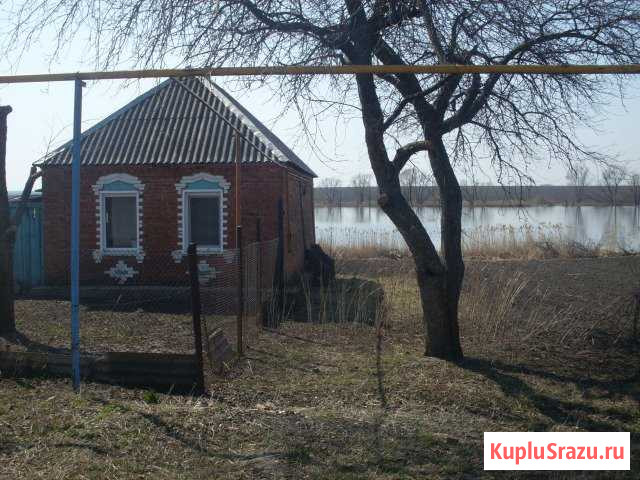Дом 43 м² на участке 58 сот. на продажу в Головчино Головчино - изображение 1